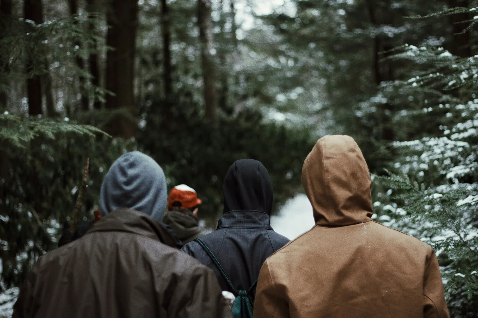 Three people in hooded jackets walking away down a snow-dusted forest trail