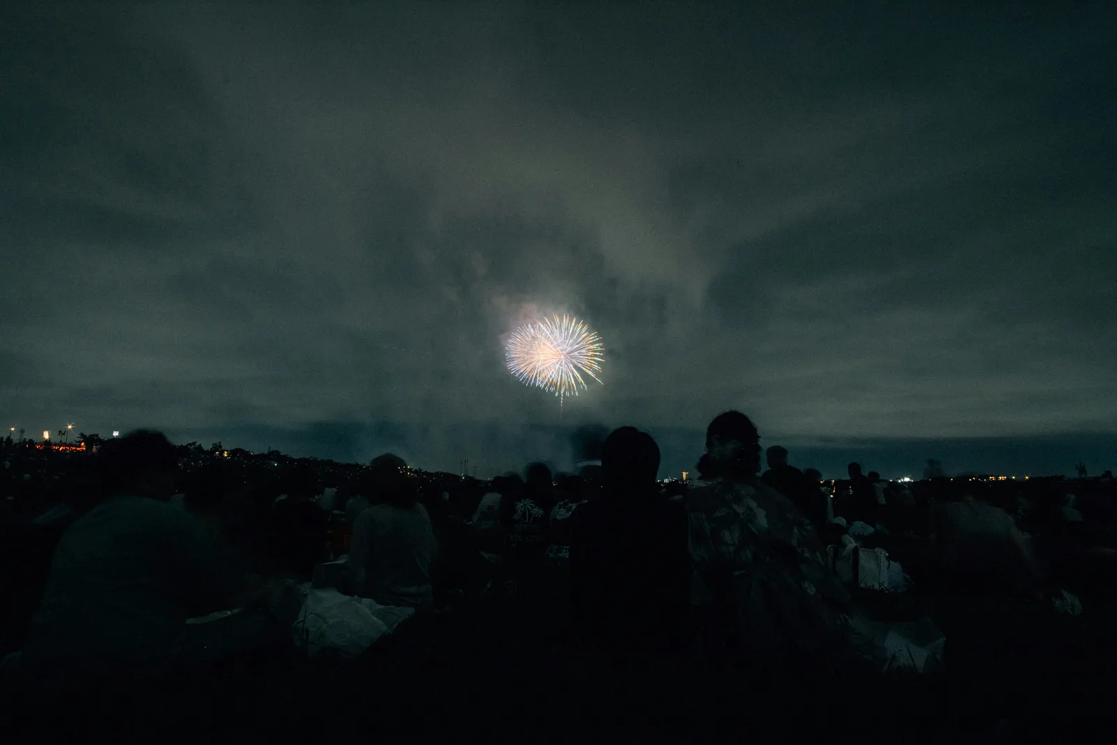 A crowd silhouetted against fireworks bursting over a night skyline